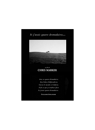 Si j'avais 4 dromadaires