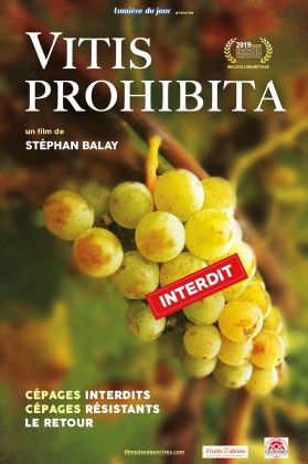 Vitis prohibita (DVD)